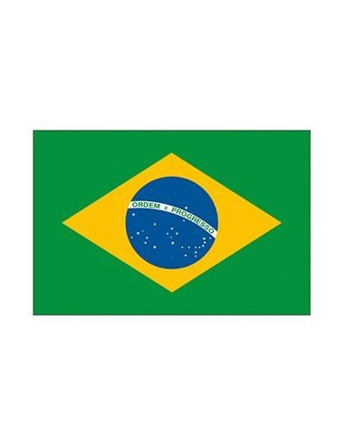 Brazílska vlajka - nalepovacie tetovanie | Potetuj.eu